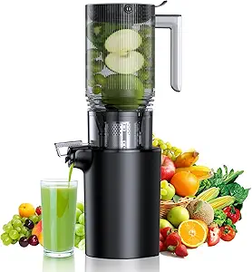 Read more about the article Cold Press Juicer